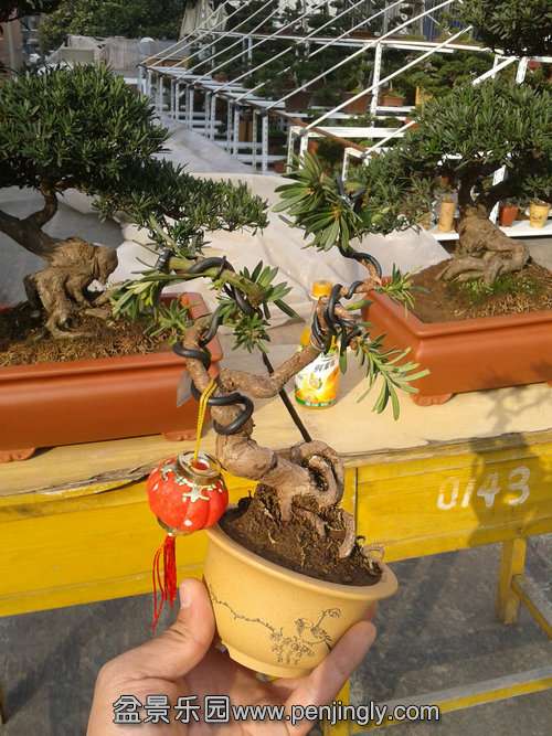 2014-01-31 15.05.33.jpg