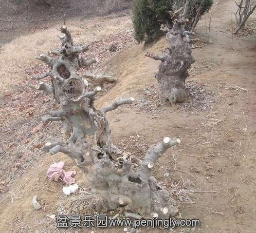 QQͼƬ20140202210716.jpg