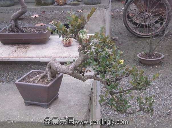 QQͼƬ20140202210828.jpg