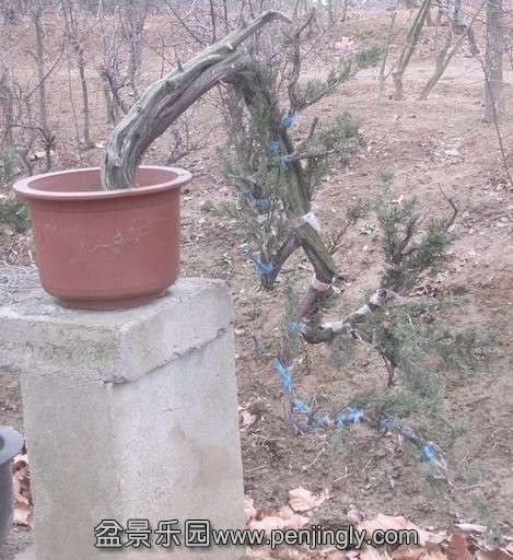 QQͼƬ20140202210748.jpg