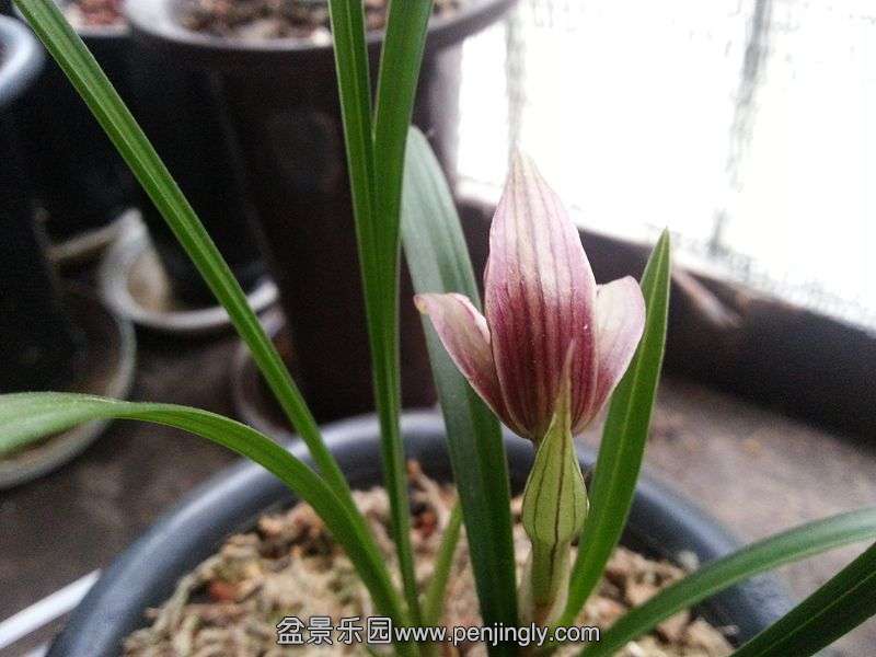 20140131_094739_.jpg