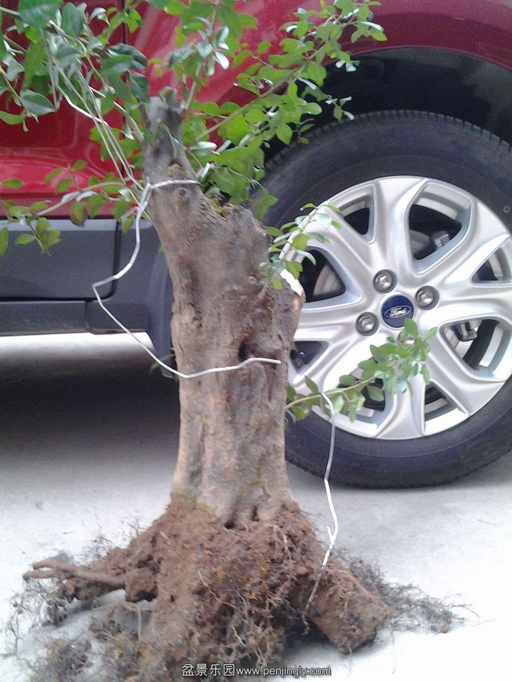20140203_170109.jpg