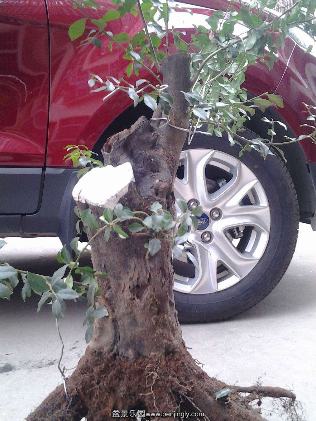 20140203_170316.jpg