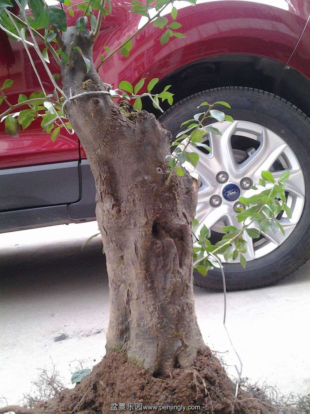 20140203_170346.jpg