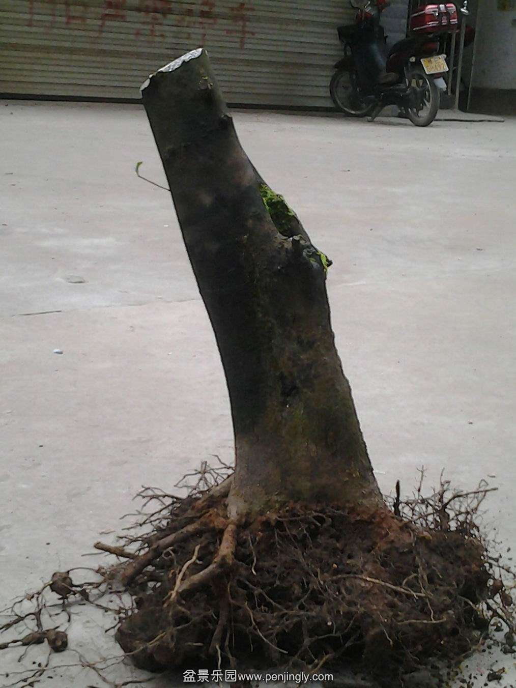 20140203_172431.jpg