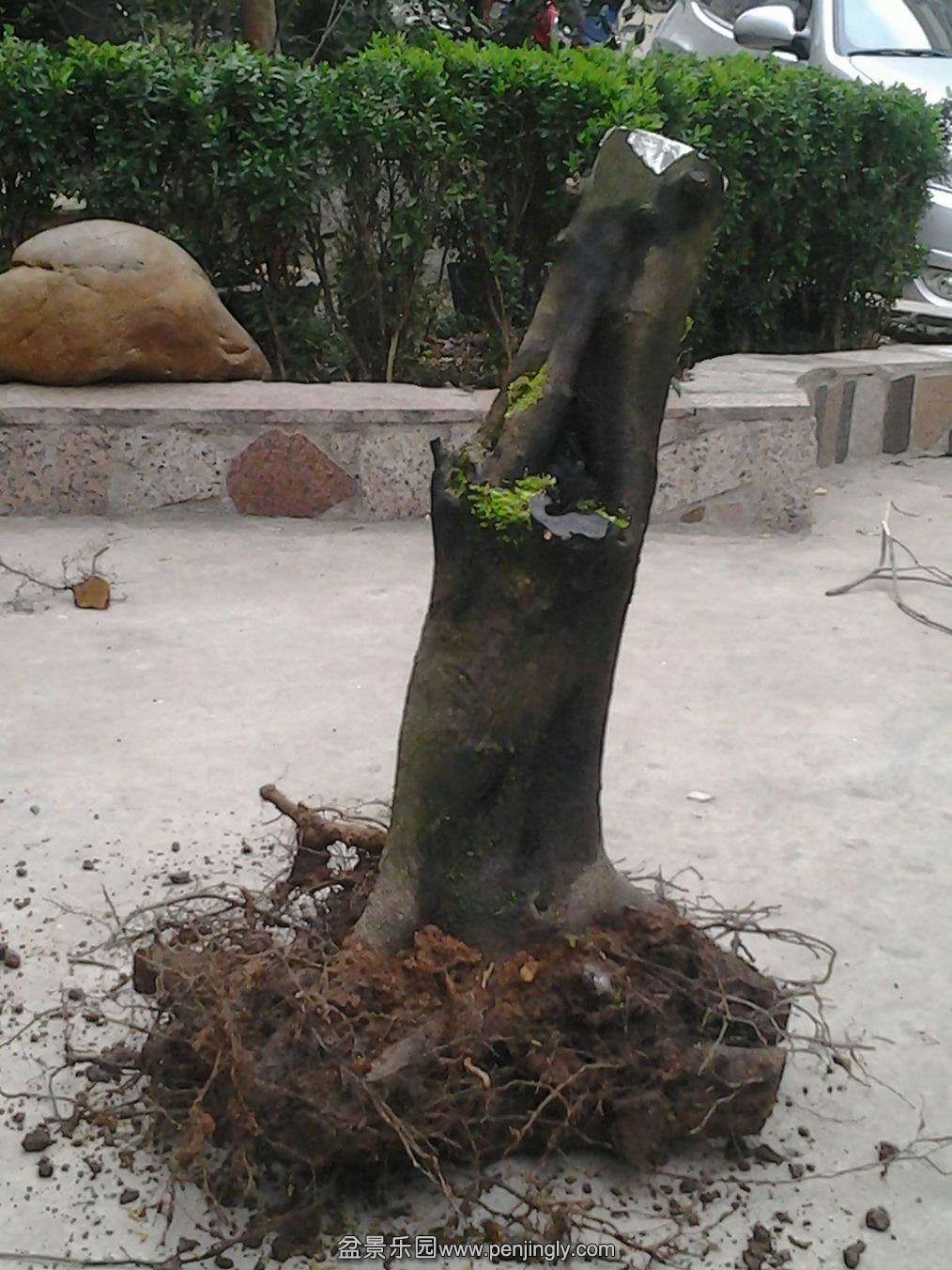 20140203_172454.jpg