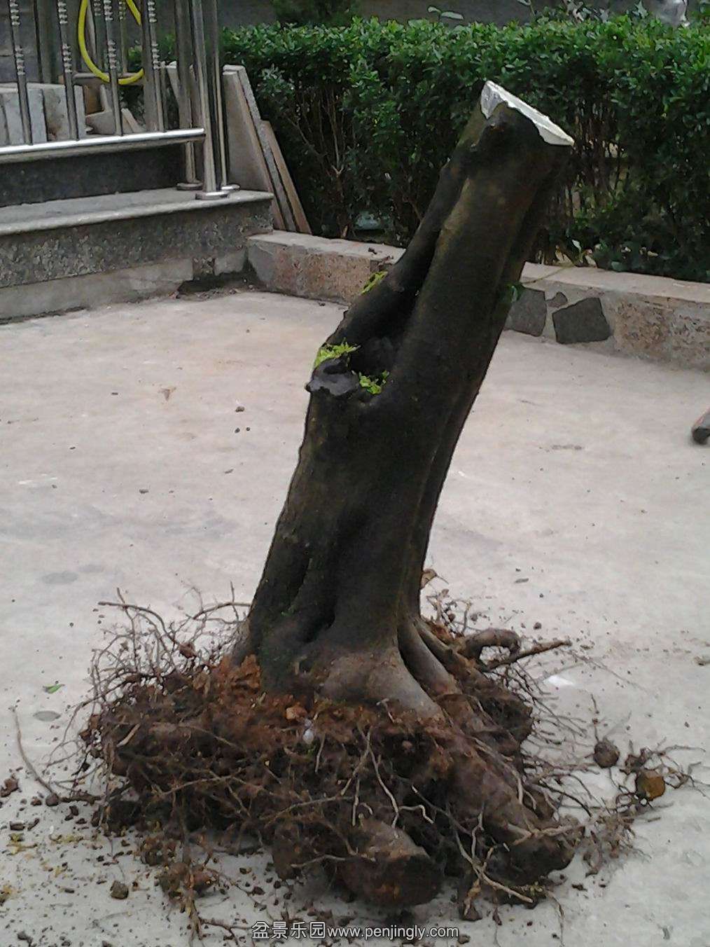 20140203_172446.jpg