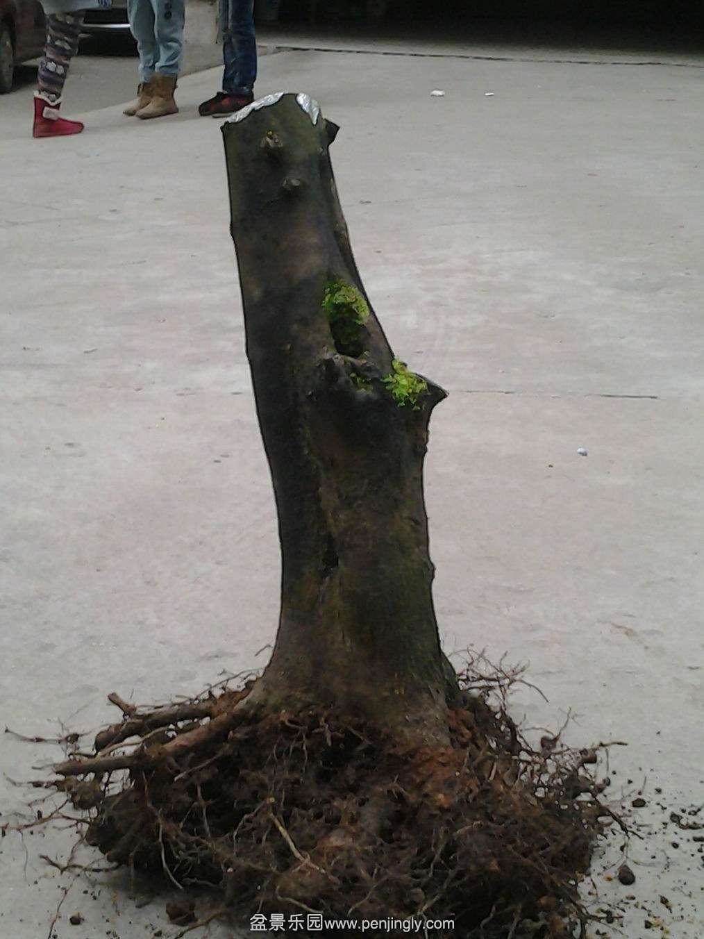 20140203_172505.jpg