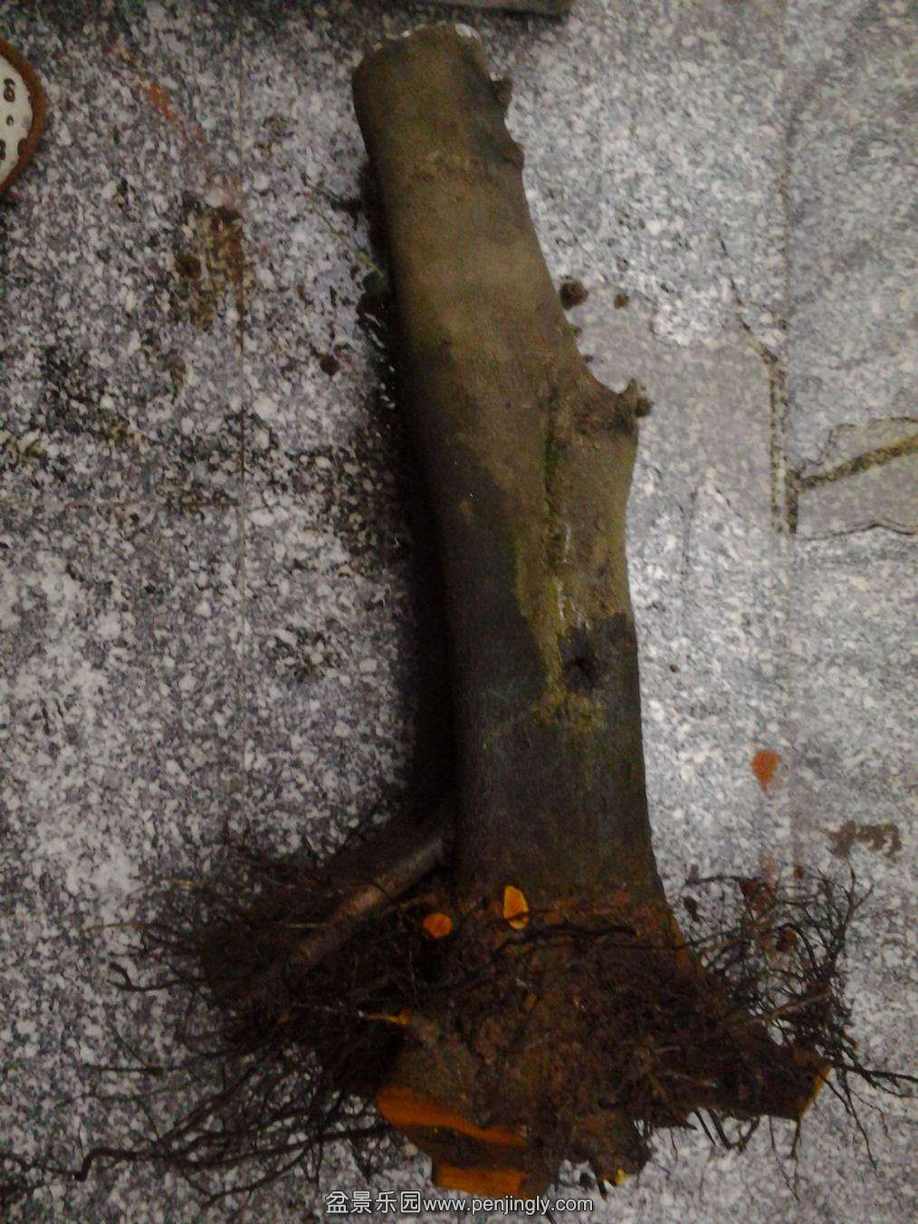 20140203_181743.jpg