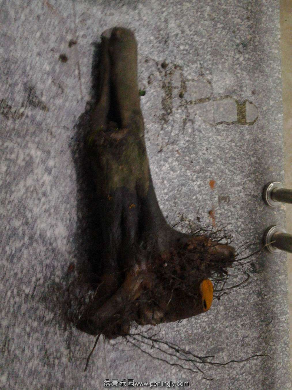 20140203_181756.jpg