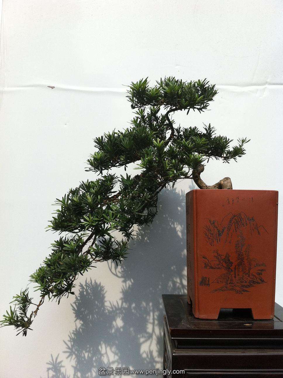 20120819ȸ޺ 005.jpg