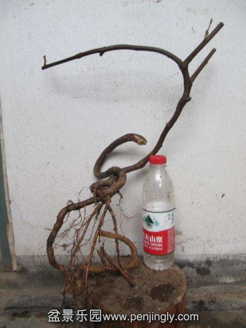 ĺ.JPG