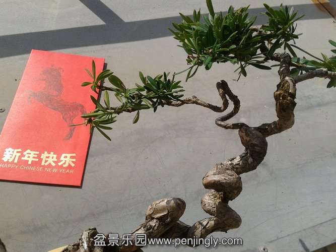 2014-02-04 11.49.06.jpg