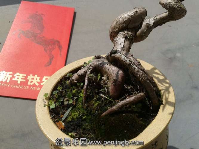 2014-02-04 11.49.55.jpg