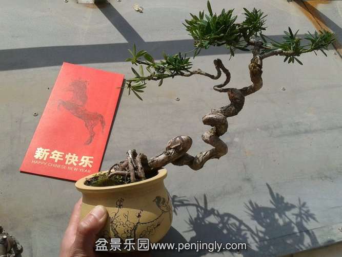 2014-02-04 11.49.19.jpg