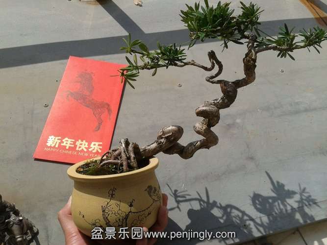 2014-02-04 11.50.17.jpg