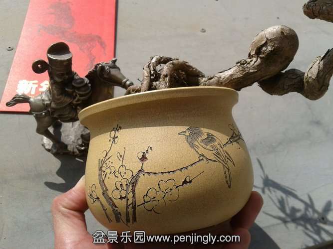 2014-02-04 11.50.59.jpg