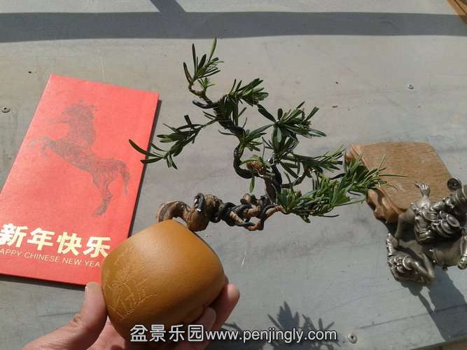 2014-02-04 11.55.53.jpg