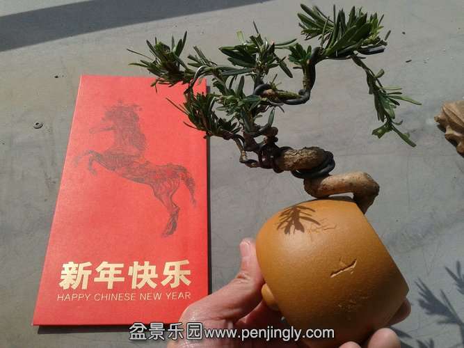 2014-02-04 11.55.09.jpg