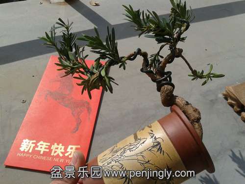 2014-02-04 11.56.22.jpg