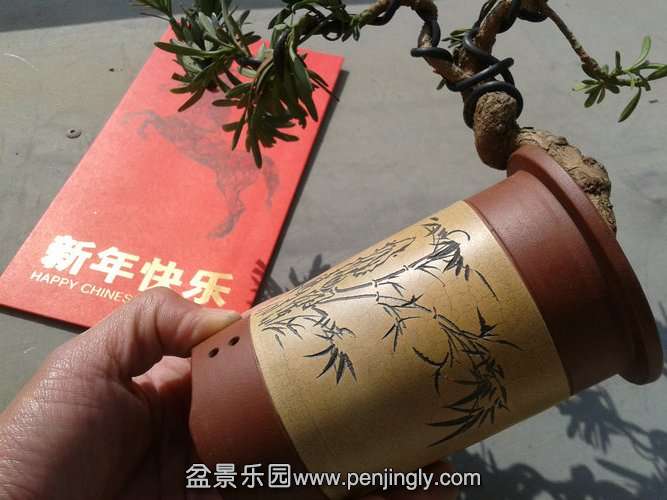 2014-02-04 11.56.35.jpg