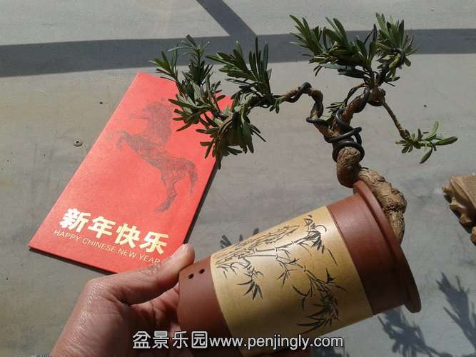 2014-02-04 11.56.49.jpg