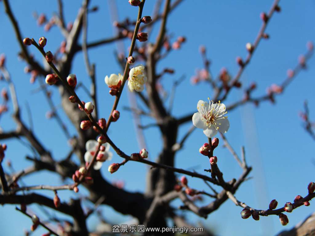 IMG_0673_.jpg