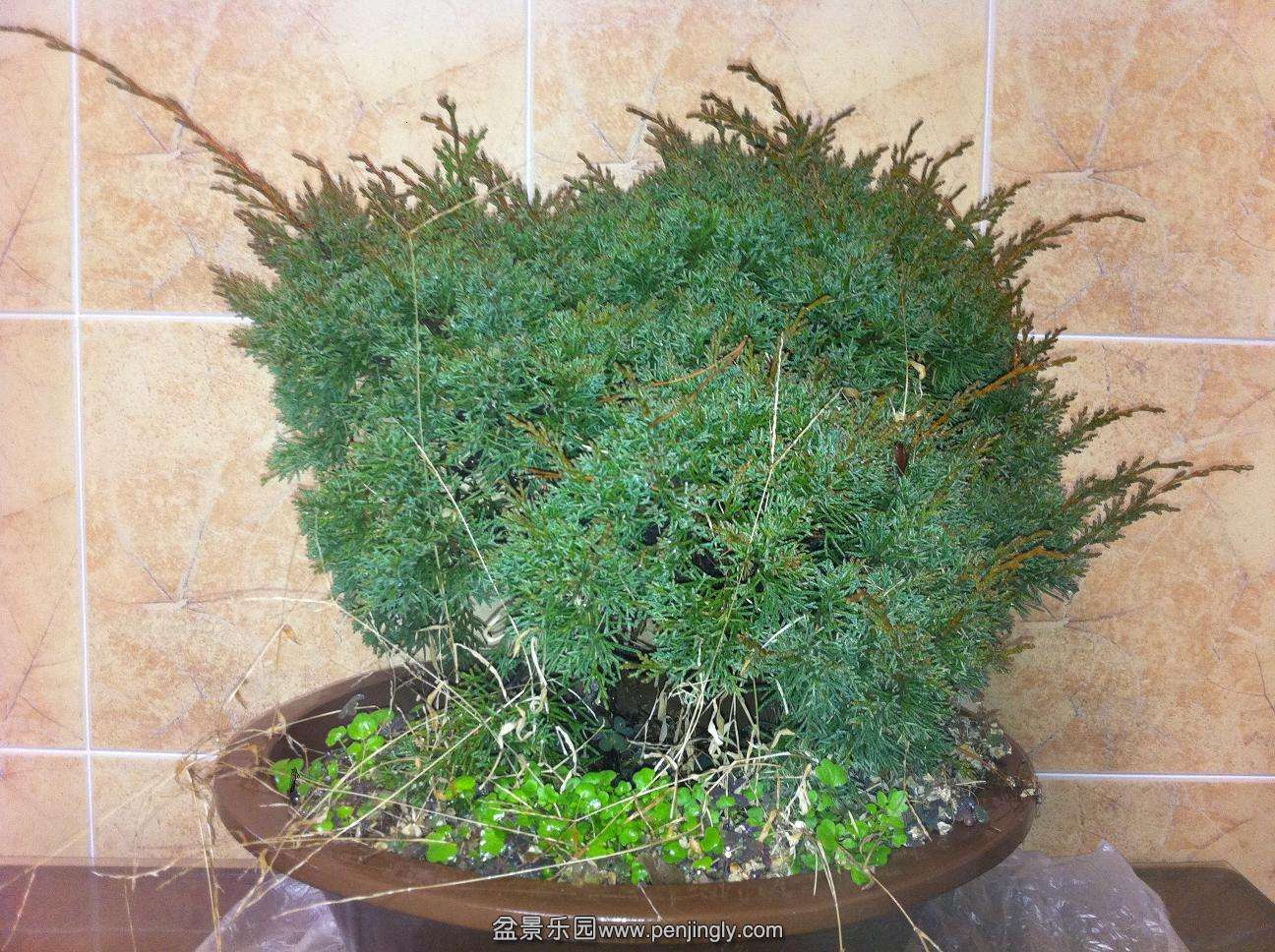 20140205���80 004.jpg