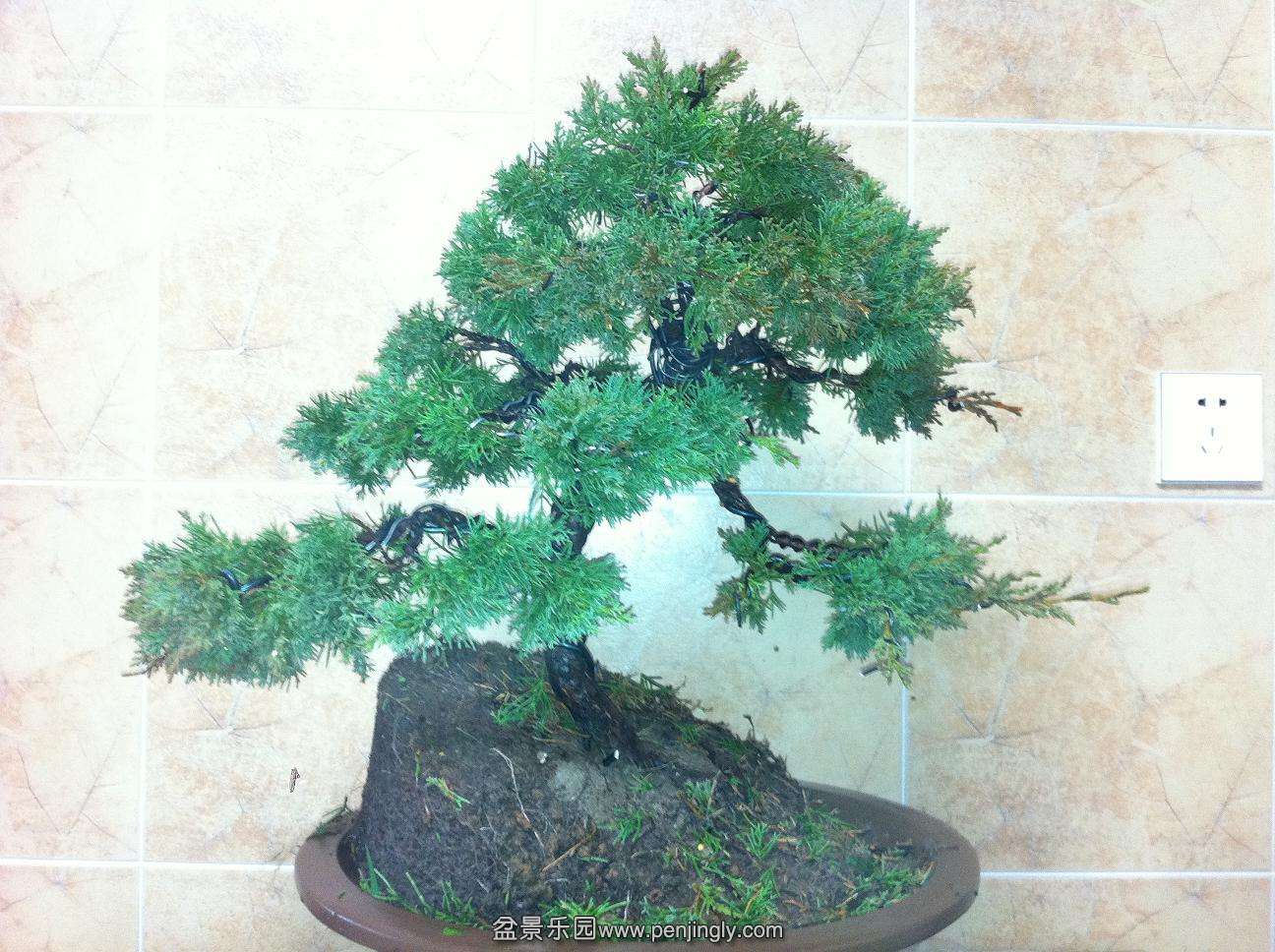 20140205���80 003.jpg