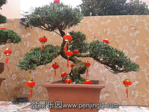 2013-02-11 13.56.28.jpg