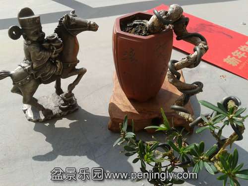 2014-02-04 11.33.34.jpg