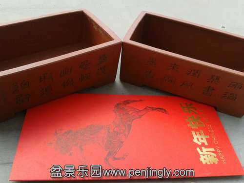 2014-02-04 11.35.49.jpg