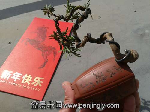 2014-02-04 11.41.37.jpg