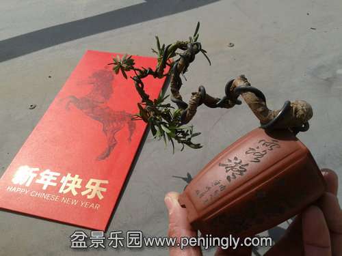 2014-02-04 11.41.51.jpg