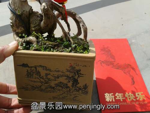 2014-02-04 12.04.20.jpg