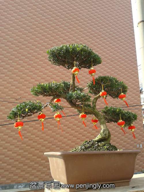 2013-02-09 14.12.24.jpg