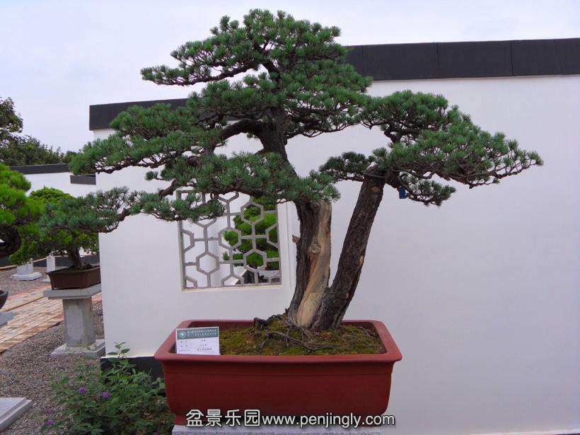 SDC12942.JPG