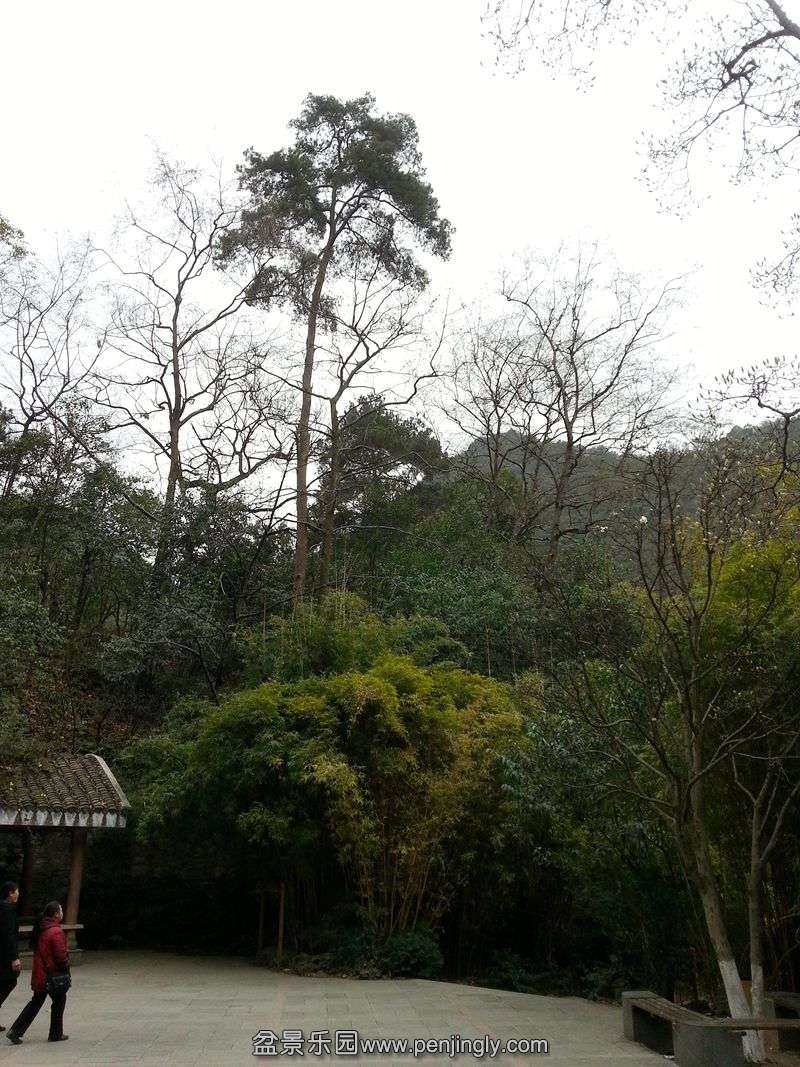 20140206_130412_.jpg