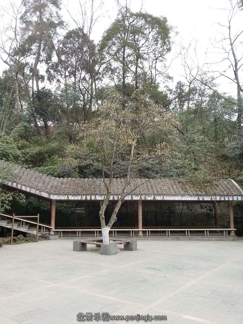 20140206_130417_.jpg