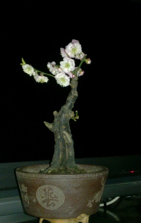 201402072042.jpg