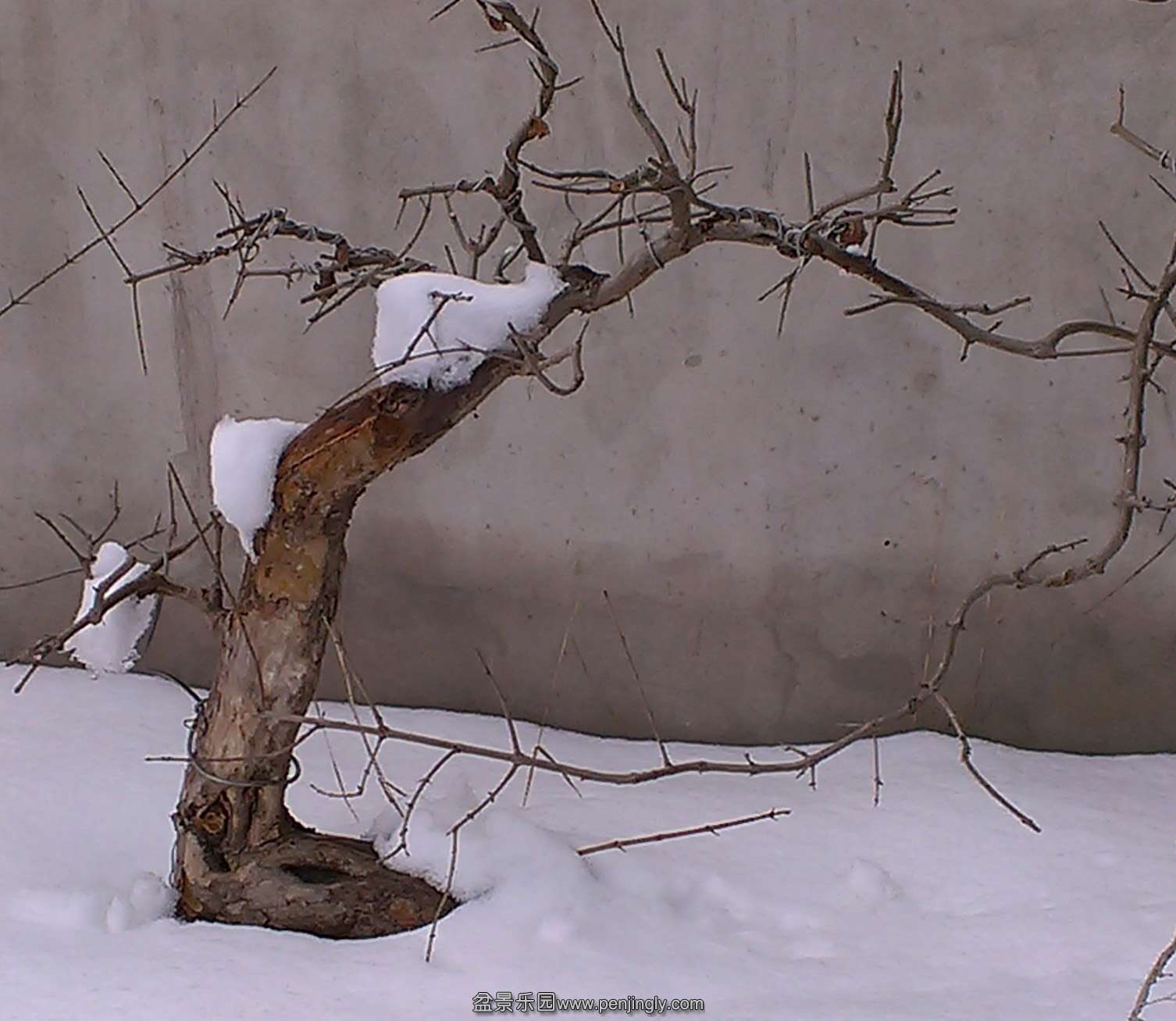 IMAG0056.jpg