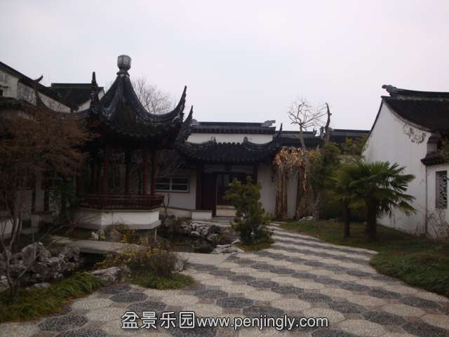DSC07001.JPG