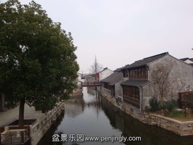 DSC07006.JPG