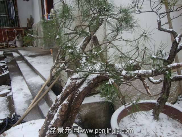 DSC02062_.jpg