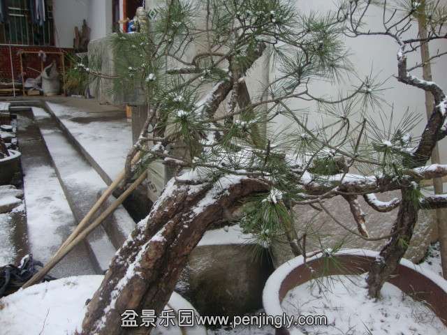 DSC02063_.jpg