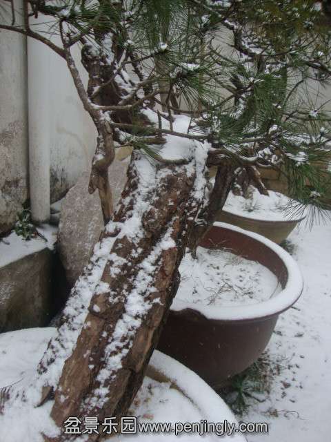 DSC02065_.jpg