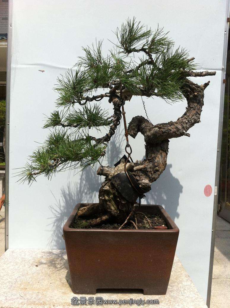 201309222000 001.jpg