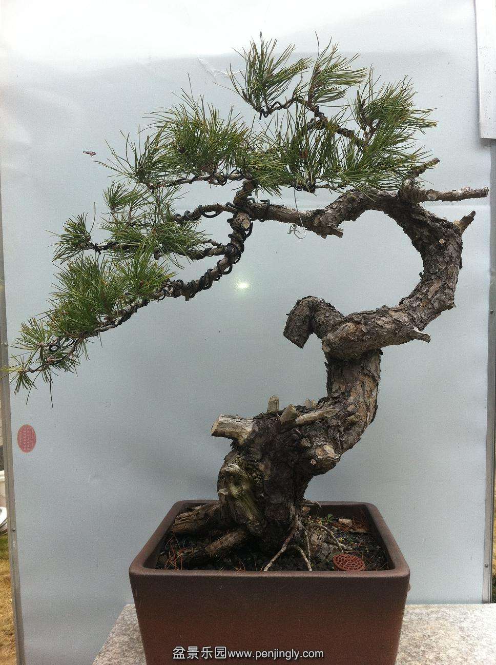 201402092000 001.jpg