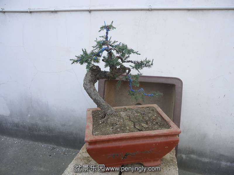DSC01074_.jpg