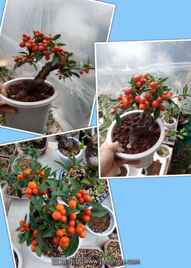 pt2014_02_08_16_17_11.jpg